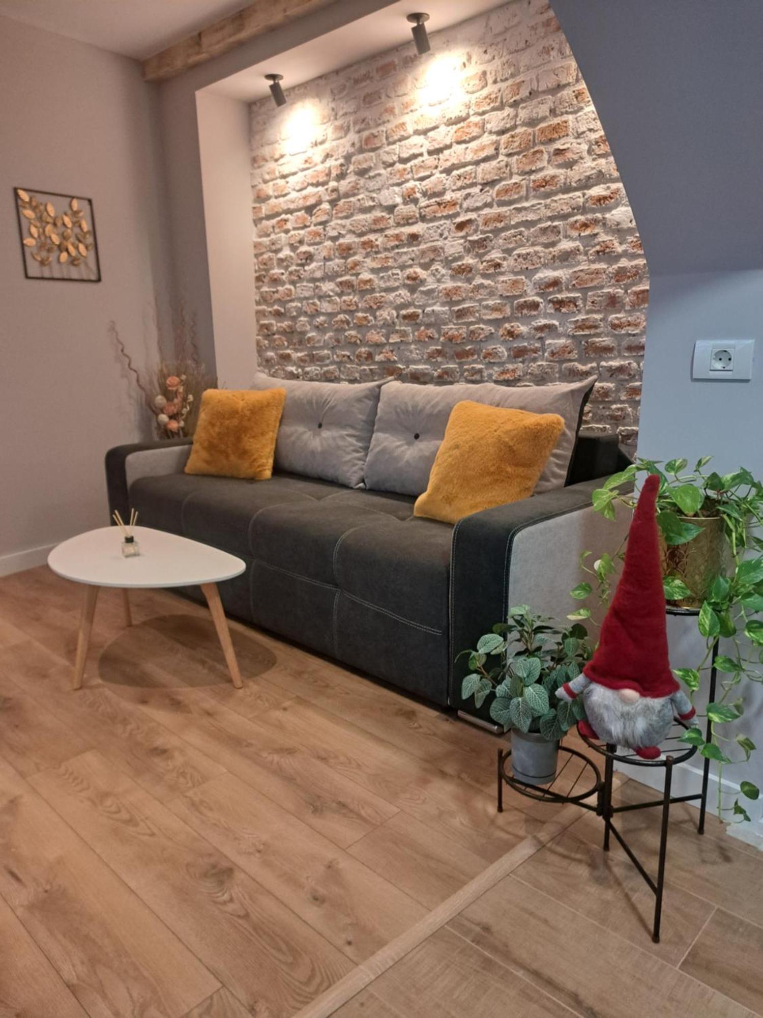 Casa Ileana Centrul Vechi Brasov 아파트 외부 사진