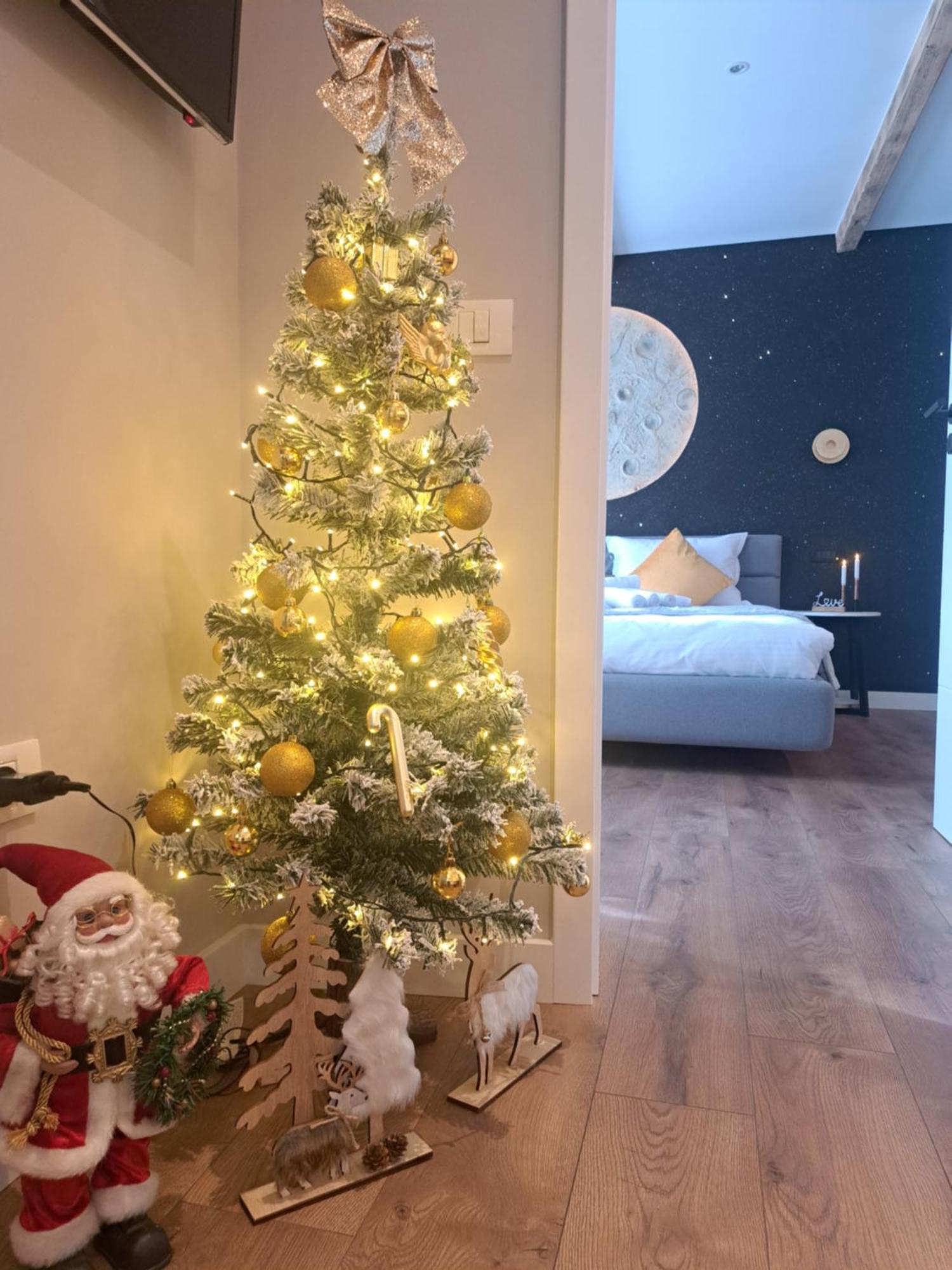 Casa Ileana Centrul Vechi Brasov 아파트 외부 사진